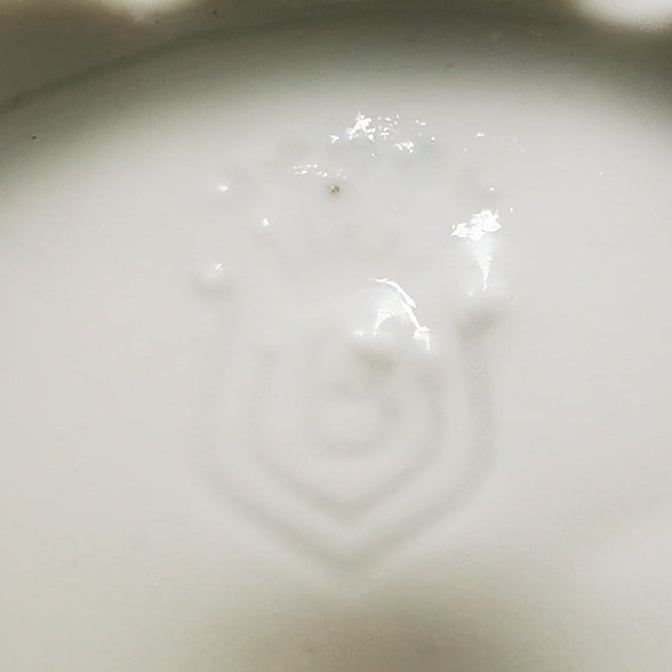 Beyer-and-Bock-Floral-Porcelain-China-Milk-Jug