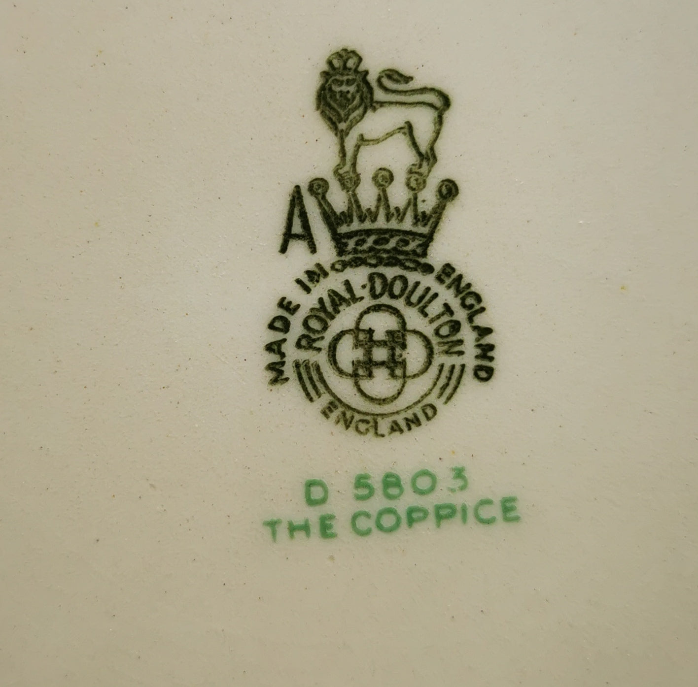 Royal-Doulton-China-The-Coppice-D5803-Saucer-for-the-Tureen