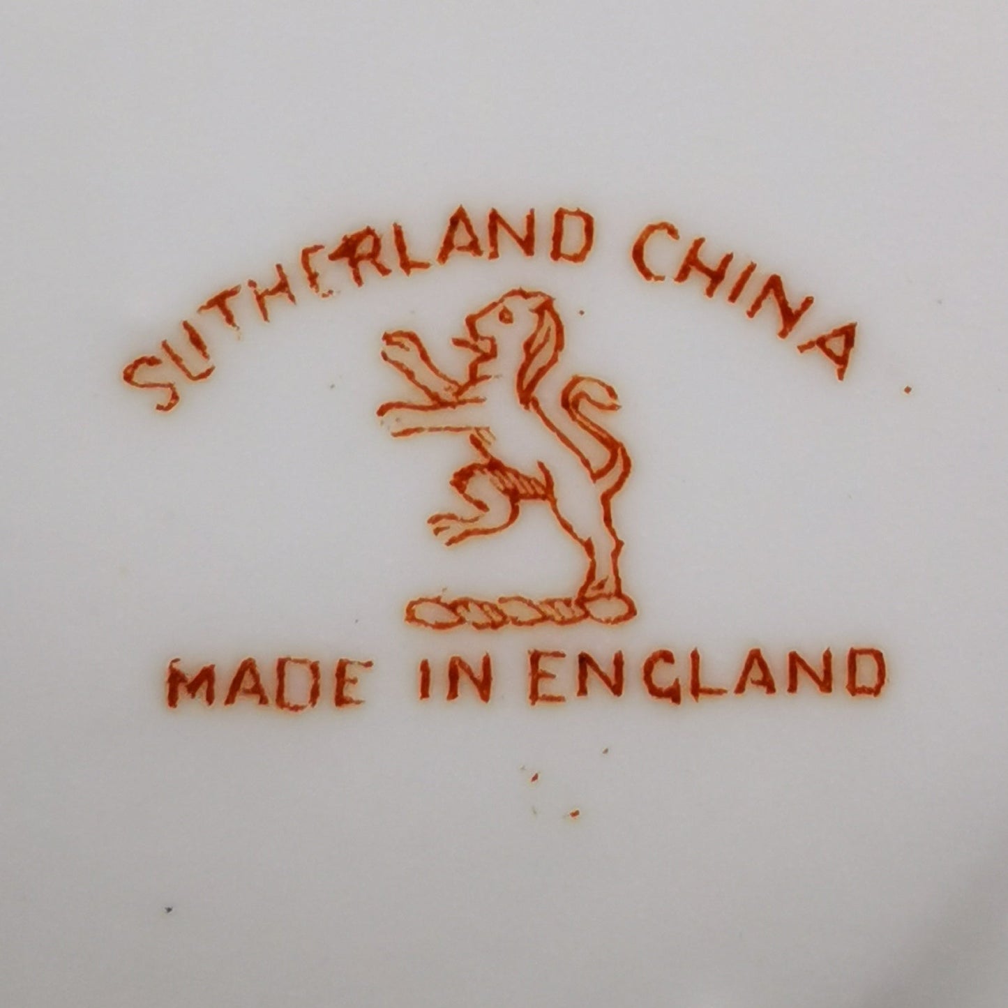 William-Hudson-Sutherland-China-Imari-2459-China -Teacup-and-Saucer