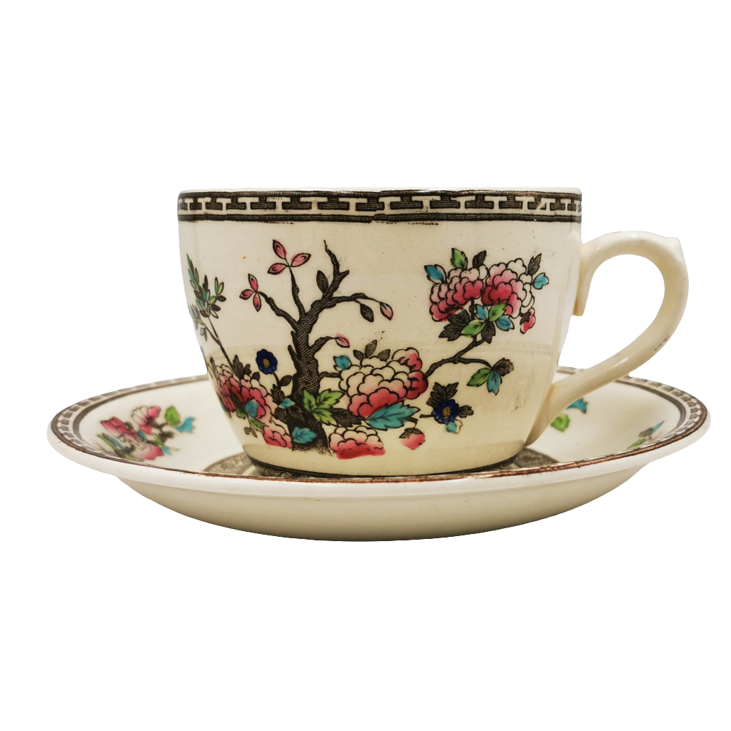 Bridgwood China Ye Olde Indian Tree 5800 Teacup and Saucer