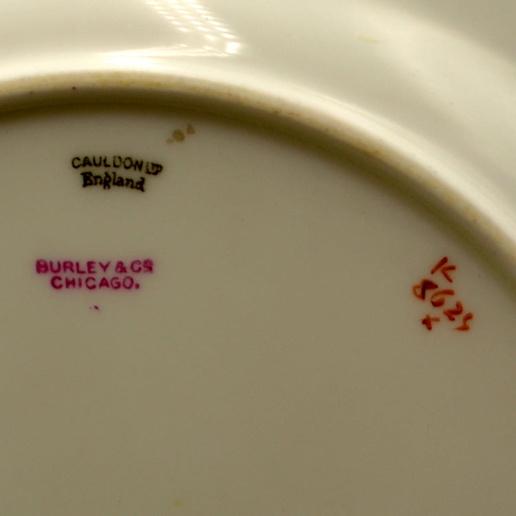 Antique Cauldon Porcelain Floral China 8627 pattern Dinner Plate
