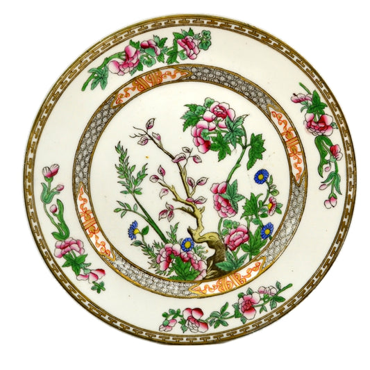 Antique Coalport China Indian Tree 8.75-inch Plate