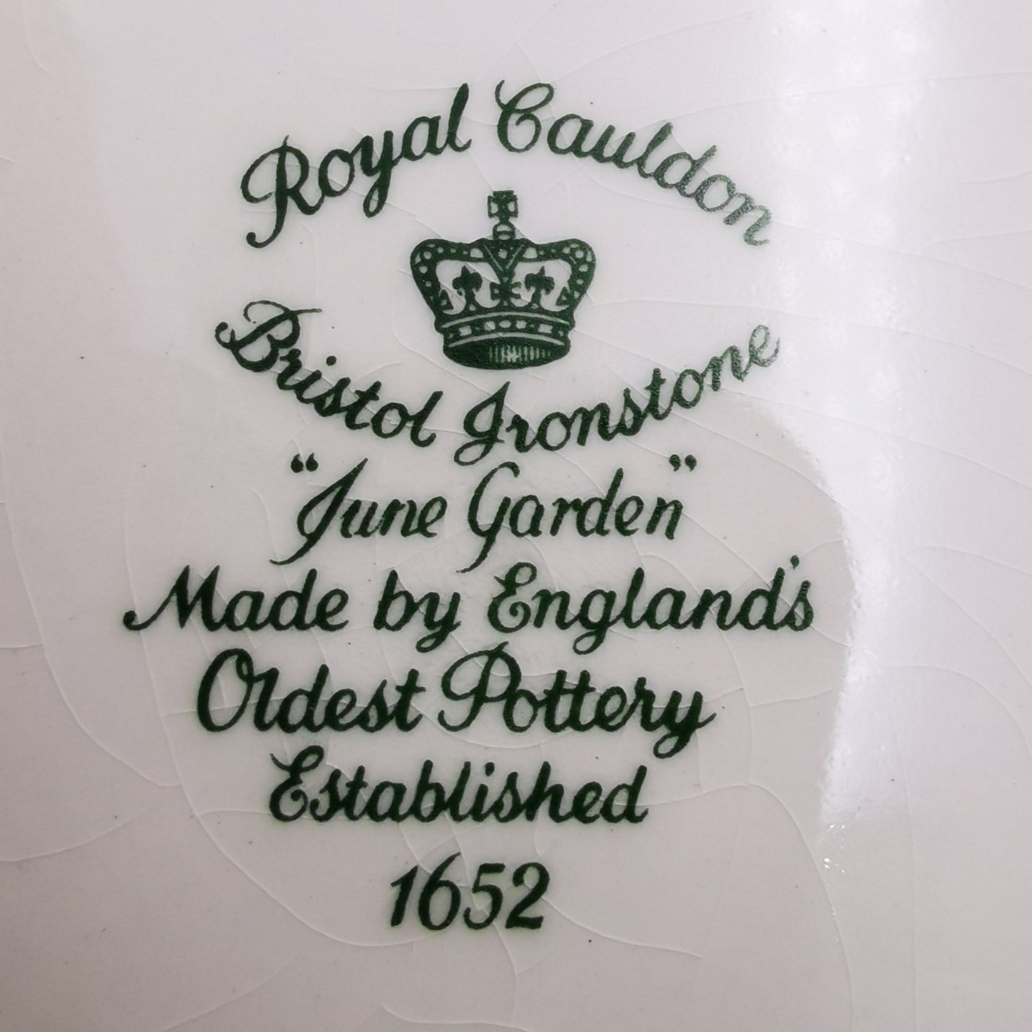 Royal Cauldon Bristol Ironstone China June Garden Rimmed Soup Bowl