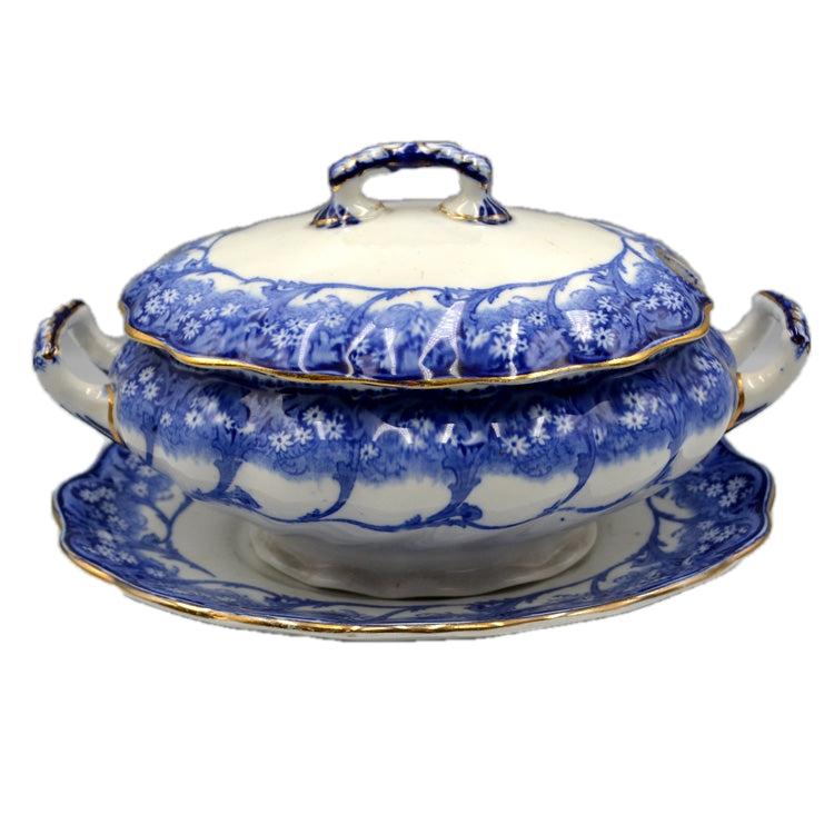 Royal Doulton China Marjorie D2425 Pattern Blue and White China