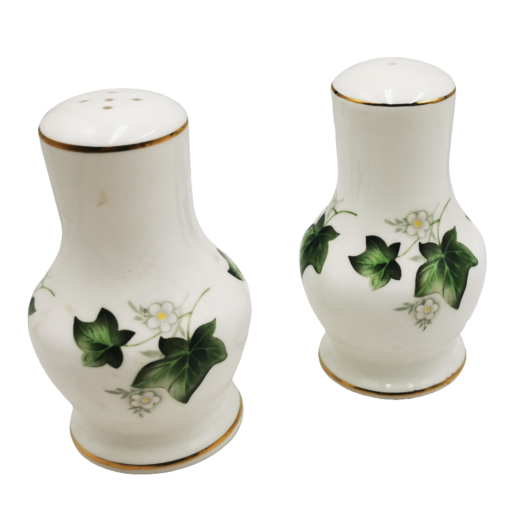 Duchess China Ivy Pattern 509 Salt and Pepper Set