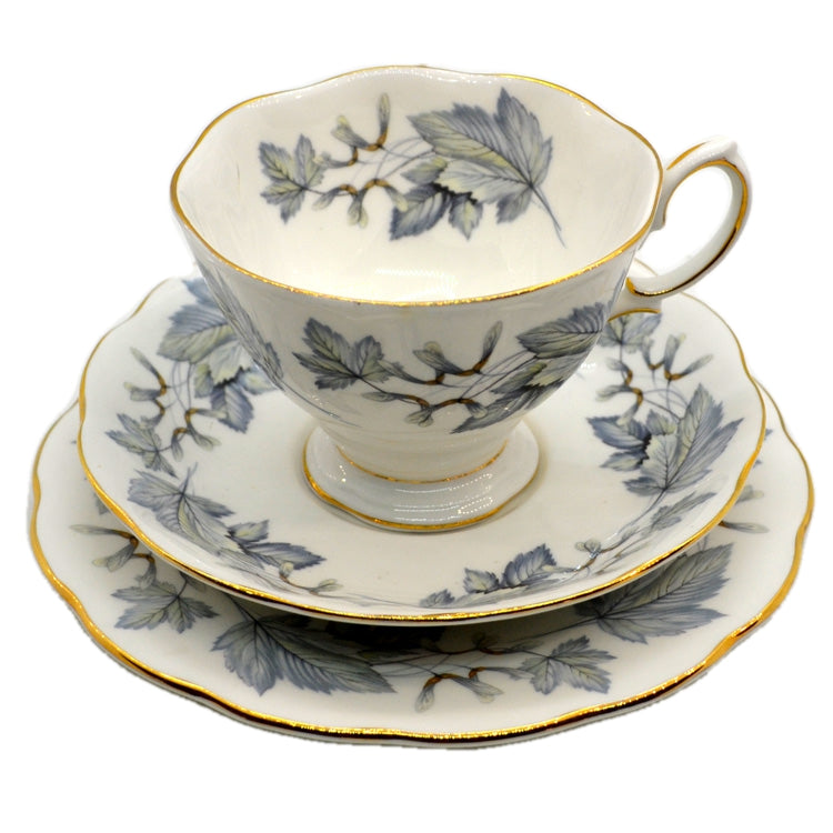 Royal Albert Silver Maple Bone China Teacup Saucer and Side Plate