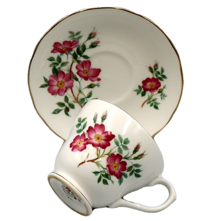 Duchess China 427 Wild Rose of Alberta Teacup & Saucer