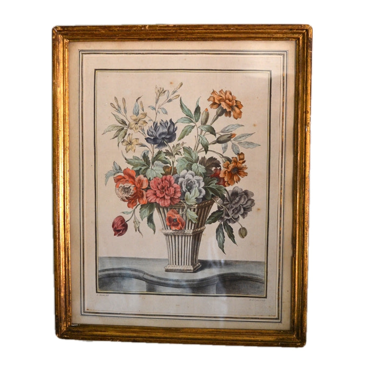 Antique Framed Hand Coloured Engraving after Louis Tessier