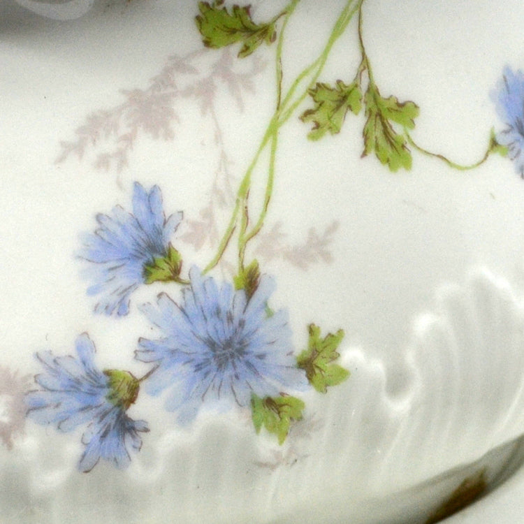Cornflower antique Limoges china