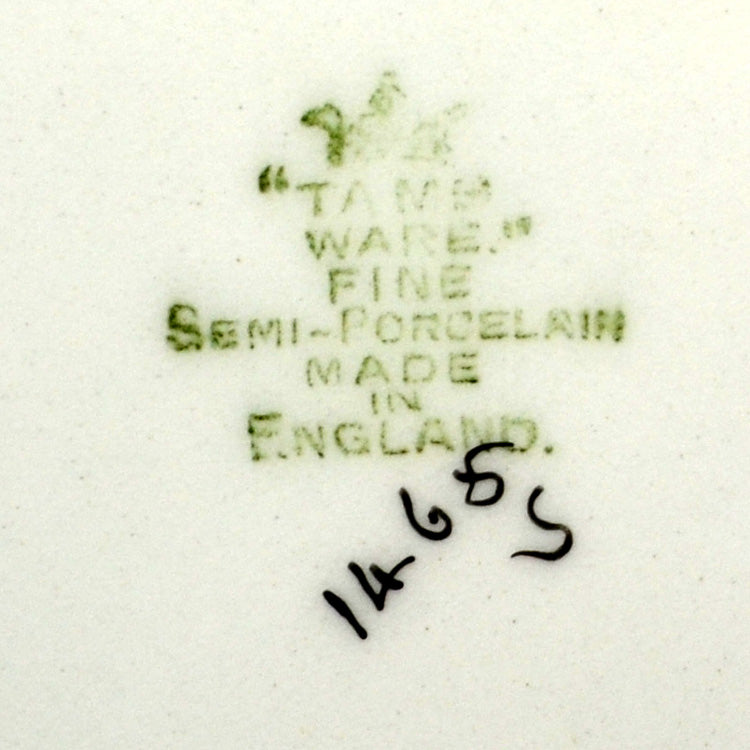 Tams Ware Floral Delphinium China 1465 12-inch Platter