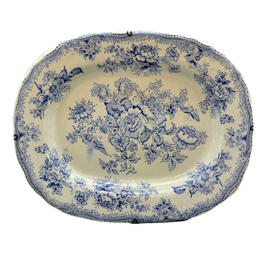 asiatic pheasant blue and white antique china platter