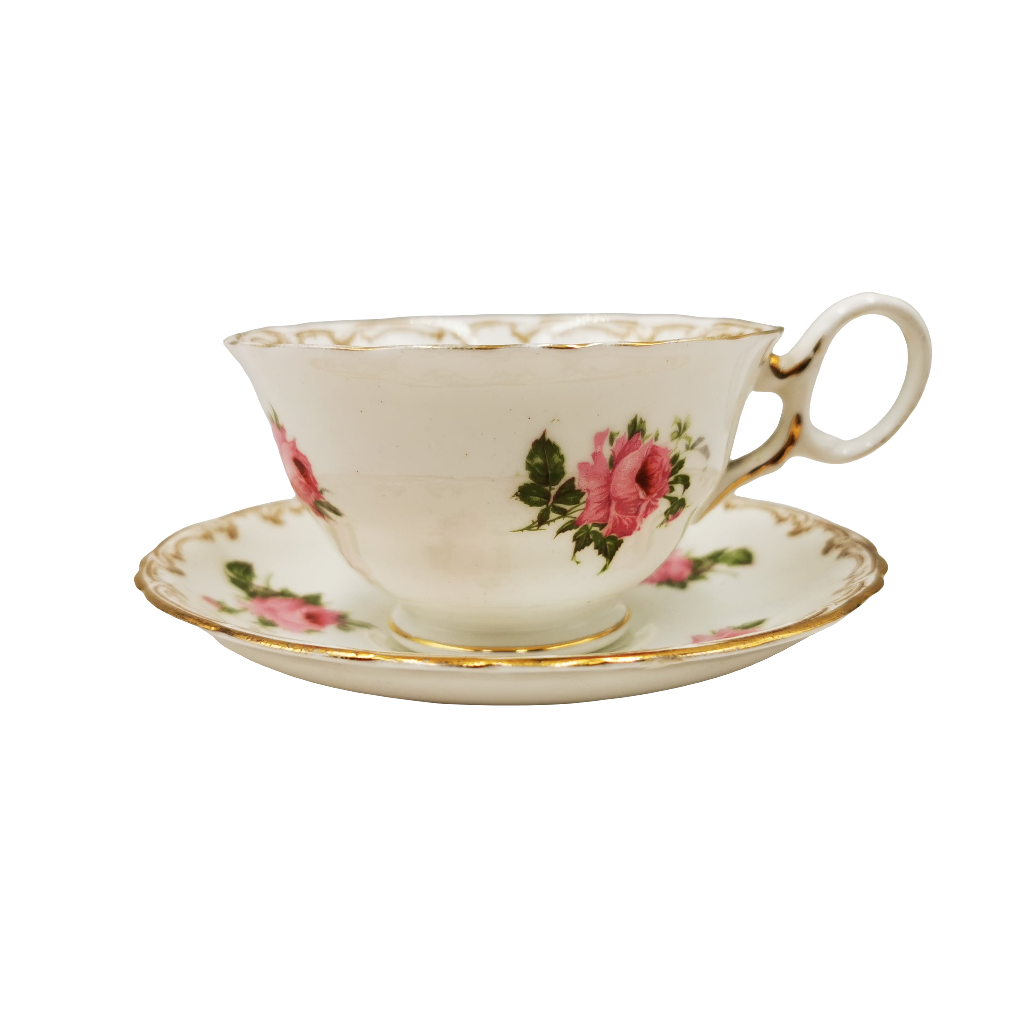 Bishop and Stonier Bisto Ironstone Floral China 1110 Teacup and Saucer