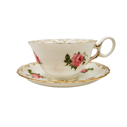 Bishop and Stonier Bisto Ironstone Floral China 1110 Teacup and Saucer