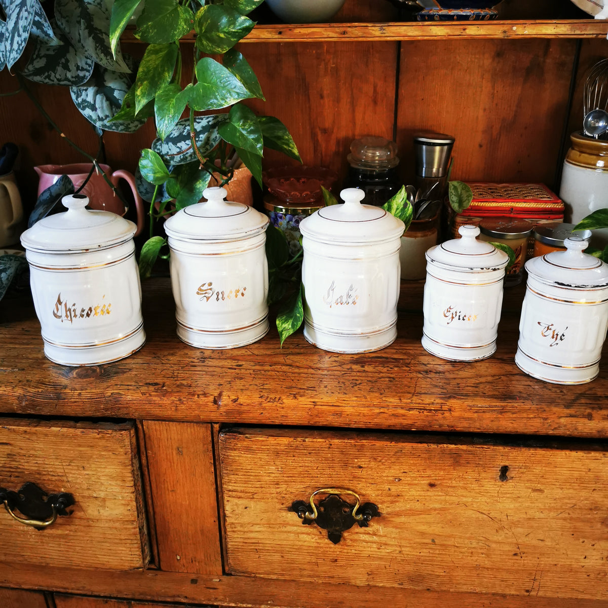 Five white ceramic canisters with gold lettering and gold trim are lined up on a rustic wooden cabinet, surrounded by houseplants and home decor.