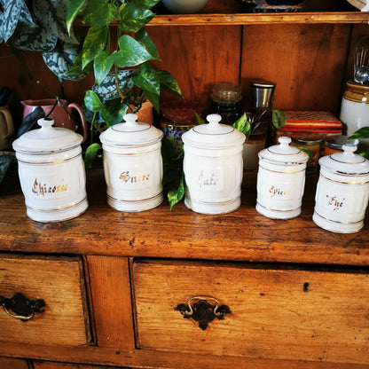 Five white ceramic canisters with gold lettering and gold trim are lined up on a rustic wooden cabinet, surrounded by houseplants and home decor.