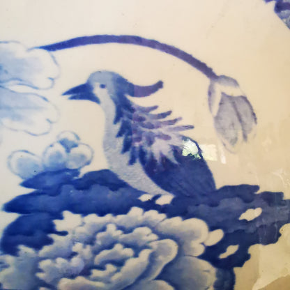 Antique-Masons-Ironstone-China-Blue-Pheasant-Trio-c1820