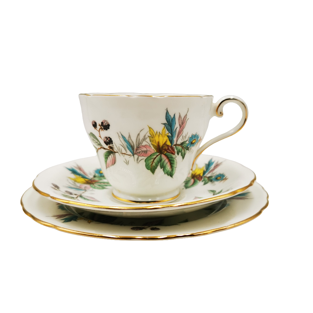 Aynsley China Berry Lane 2167 Teacup