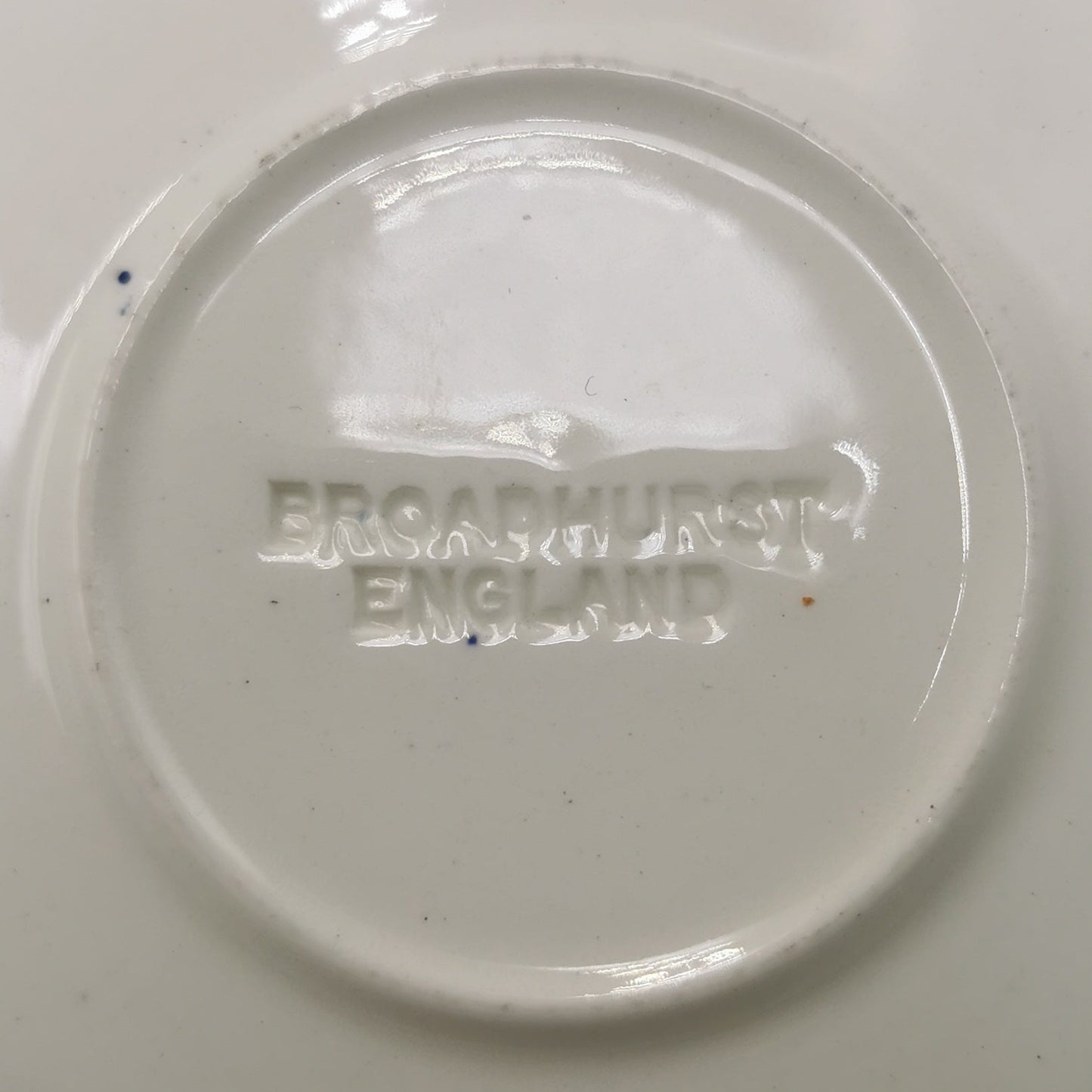 Broadhurst Blue and White Willow China Teacup and Saucer