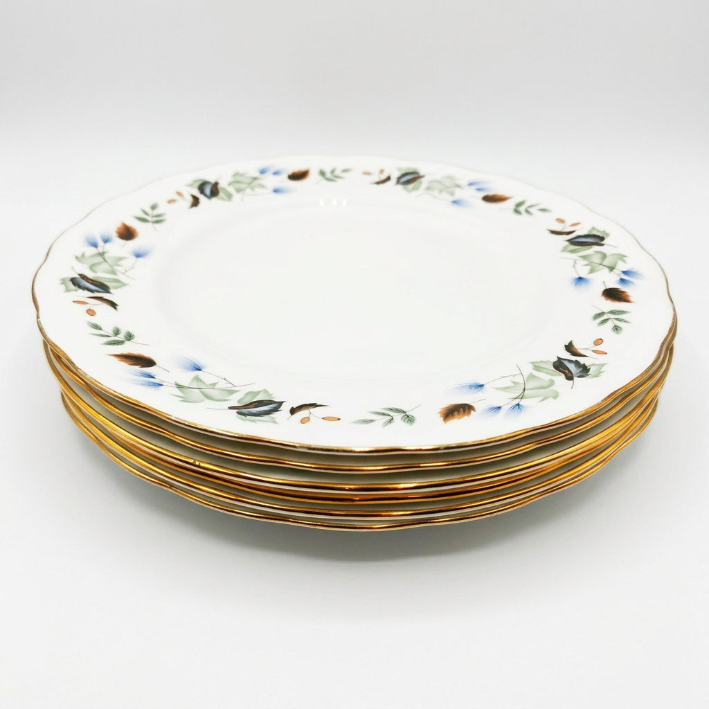 Colclough Ridgway Linden China 8162 Dinner Plate 1955-1964