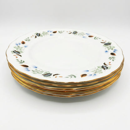 Colclough Ridgway Linden China 8162 Dinner Plate 1955-1964
