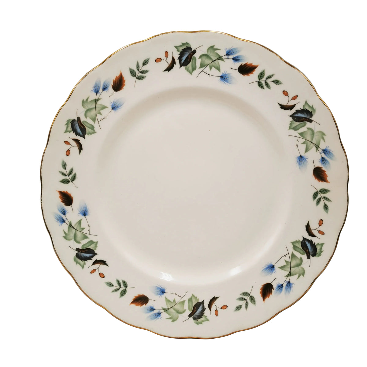 Colclough-Ridgway-Linden-China-8162-Dinner-Plate-1955-1964