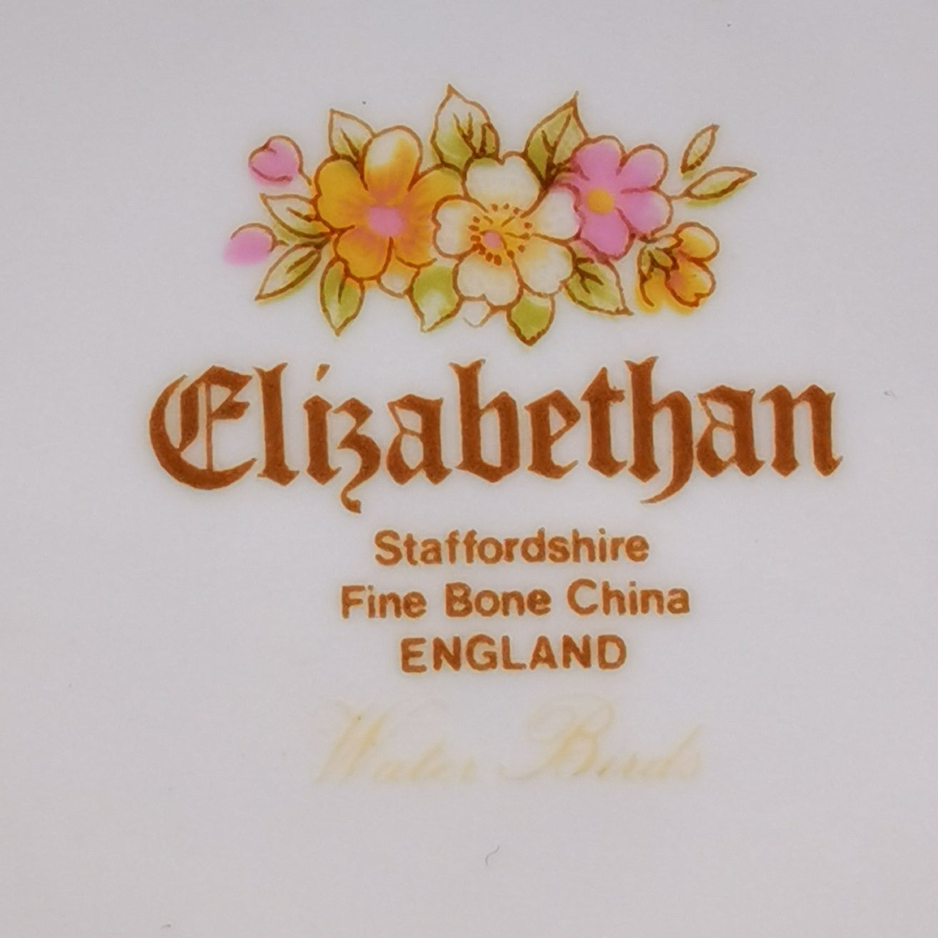 Elizabethan-Bone-China-Water-Birds-Mug