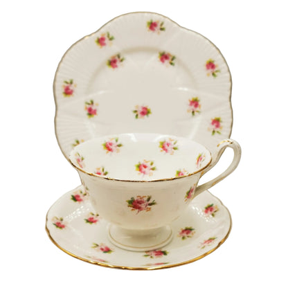 Wileman & Co Foley China Tea Cup Trio 7447