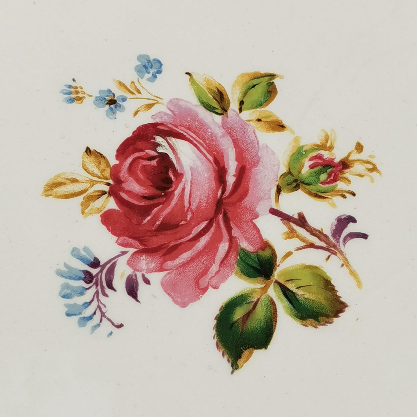 Grindley-cream-petal-marlborough-woostock-platter