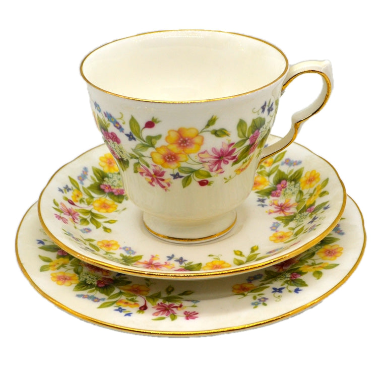 Colclough Hedgerow Bone China Shape D Tea Cup Saucer & Side Plate Trio