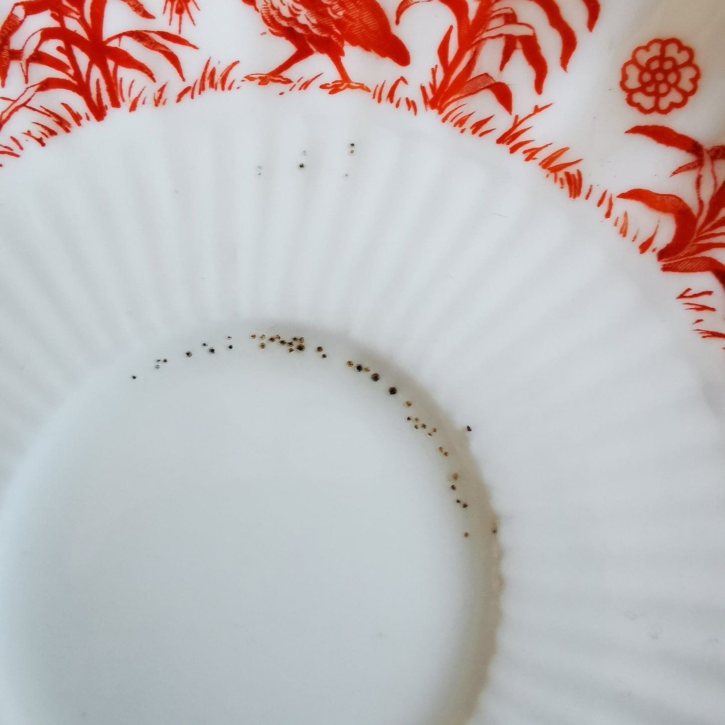 Antique Coalport Porcelain Coral Red Birds China Breakfast Cup Trio c1880