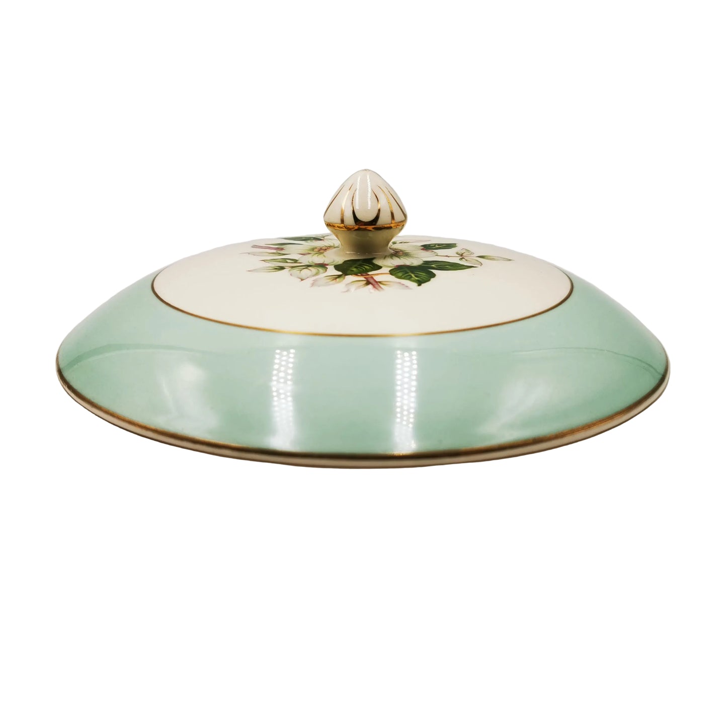 Johnson Brothers Pareek Pistachio Snow White