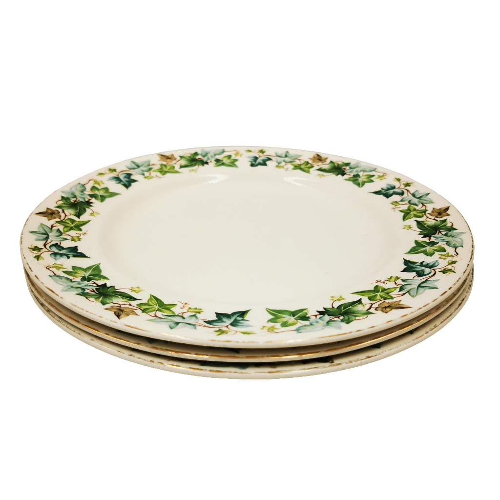 Johnson Brothers China Old Chelsea Ivy Leaf 10-inch Dinner Plate