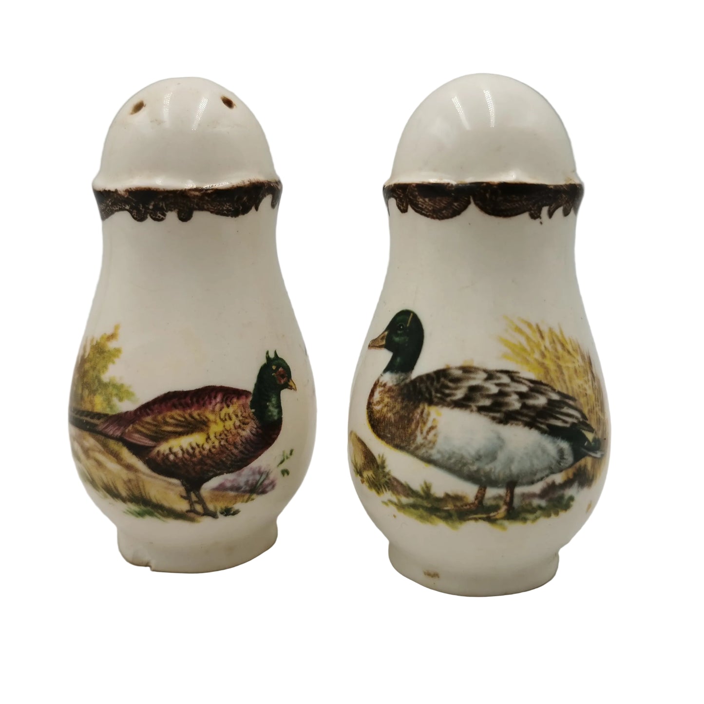 Two ceramic salt and pepper shakers with bird designs on a white background