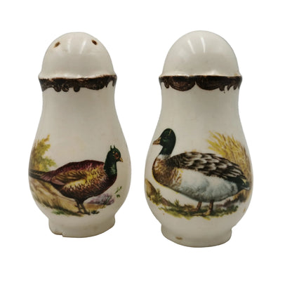 Two ceramic salt and pepper shakers with bird designs on a white background