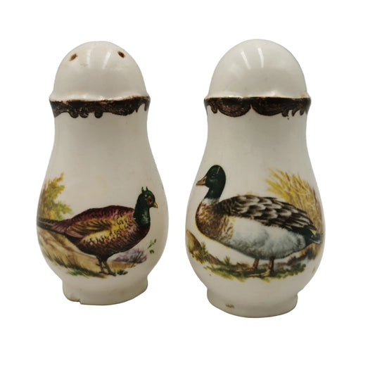 Two ceramic salt and pepper shakers with bird designs on a white background