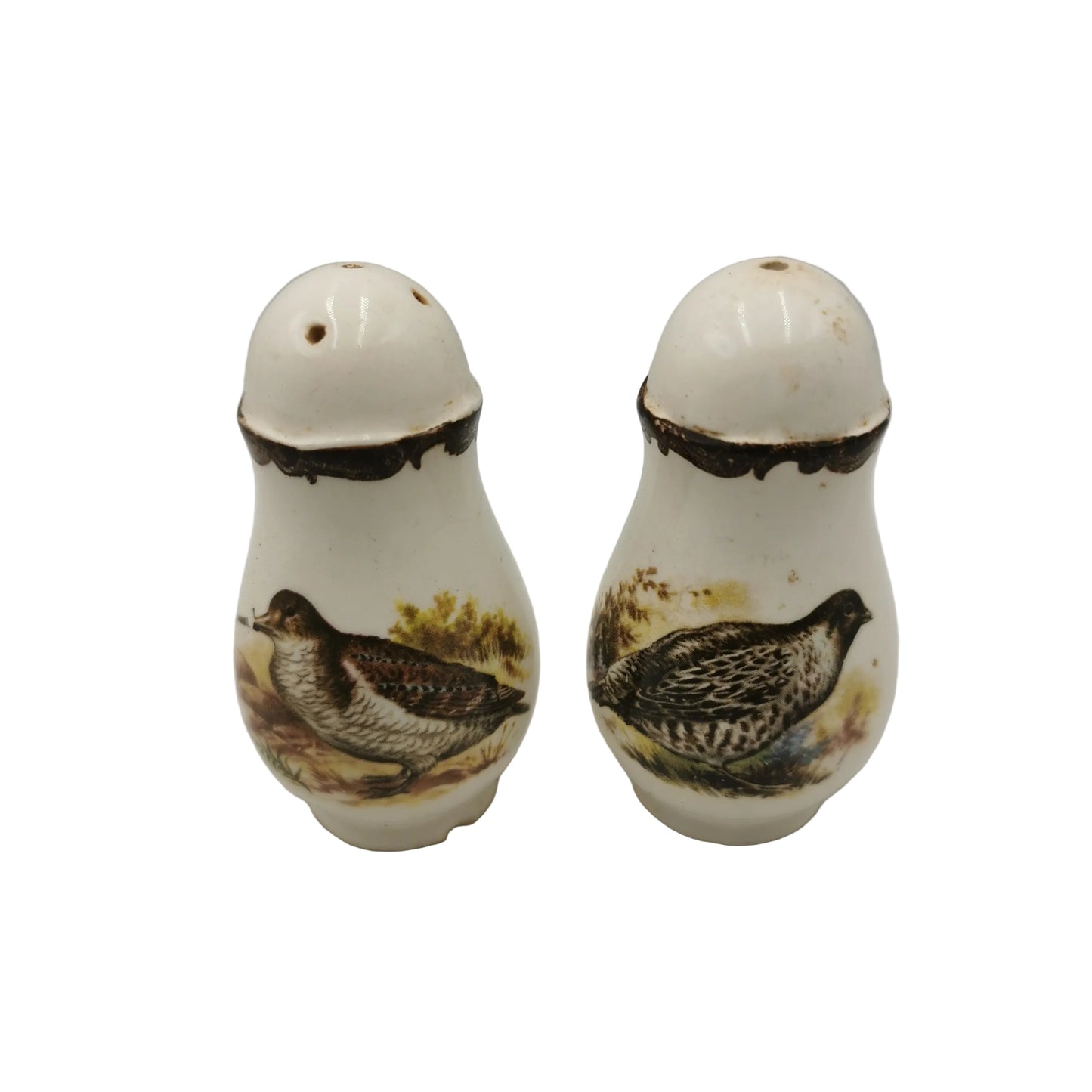 Pair of ceramic salt and pepper shakers with bird designs on a white background