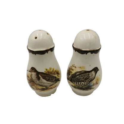 Pair of ceramic salt and pepper shakers with bird designs on a white background