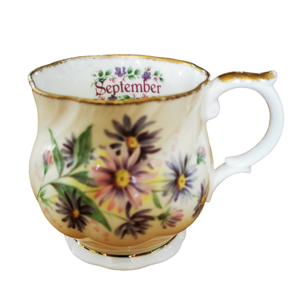 Queen's Fine Bone Floral China Flowers of the Month September Mug