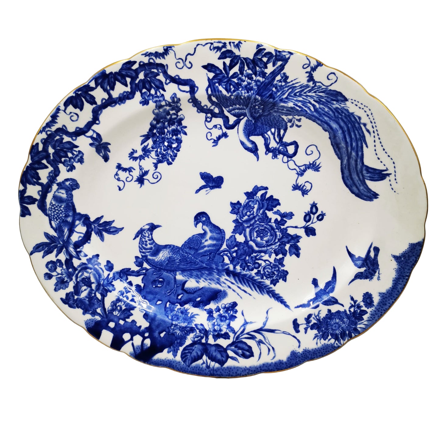 blue aves royal crown derby