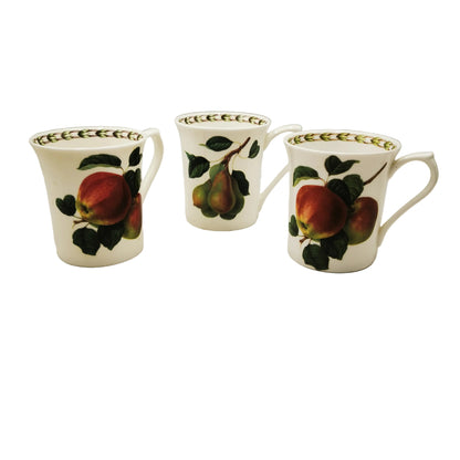 RHS Queens China Hookers Fruit Porcelain Mug Collection