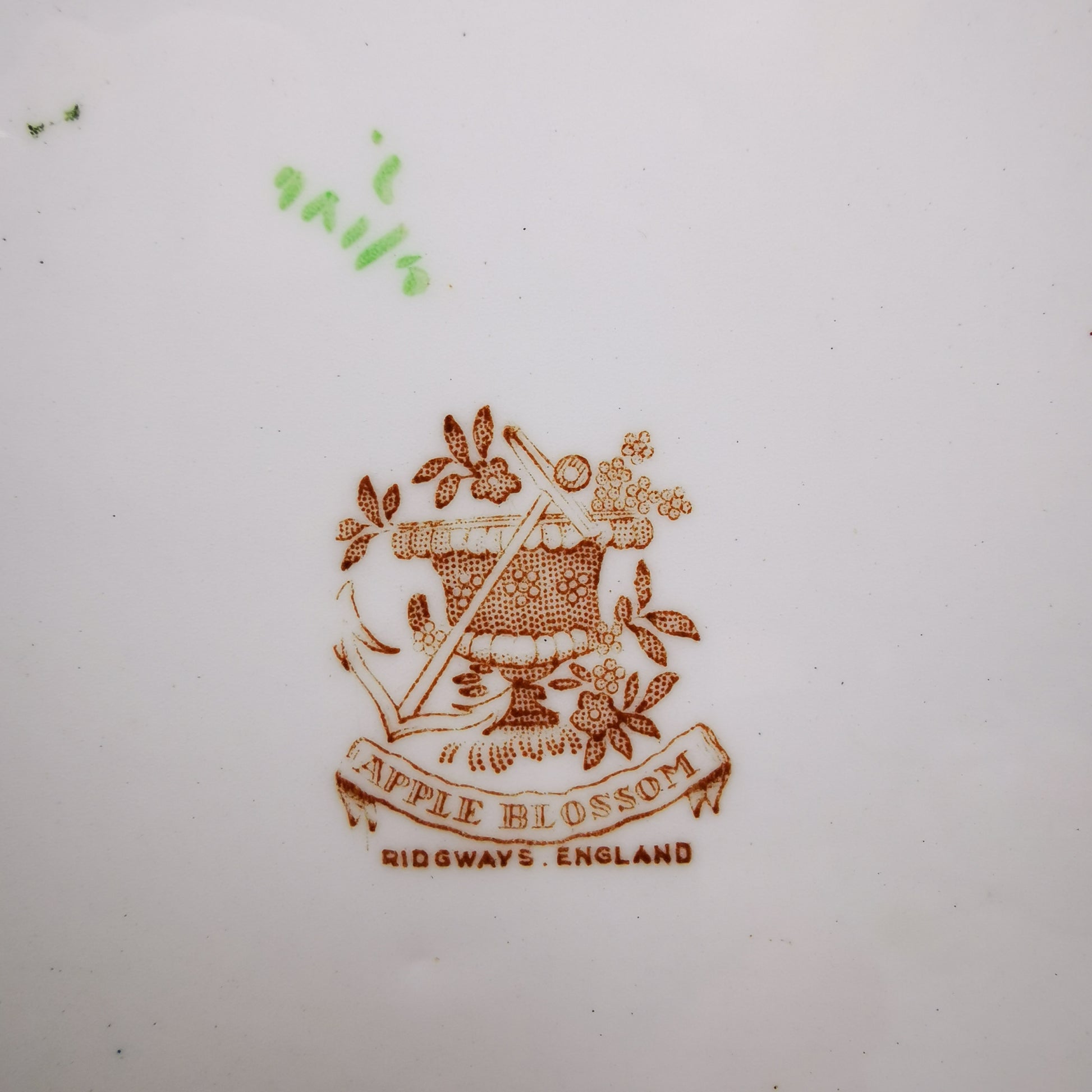 Ridgway-Apple-Blossom-China-Dinner-Plate