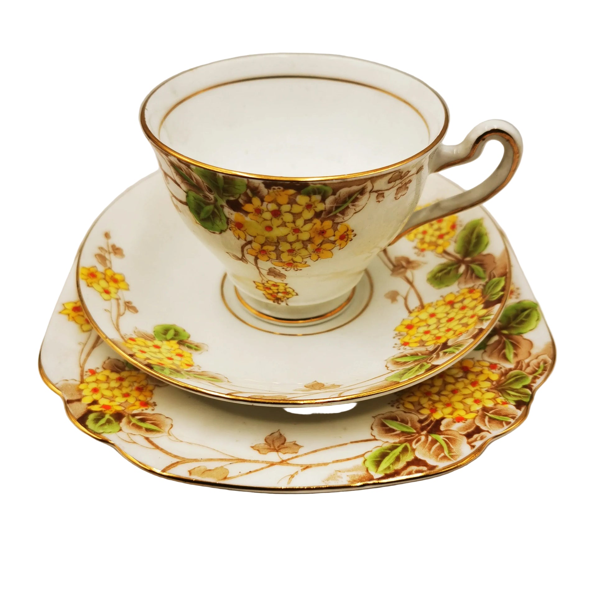 Rosina China Company Floral 4936 Teacup Saucer and Side Plate