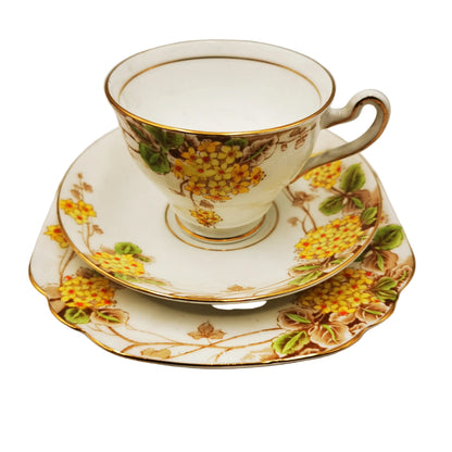 Rosina China Company Floral 4936 Teacup Saucer and Side Plate