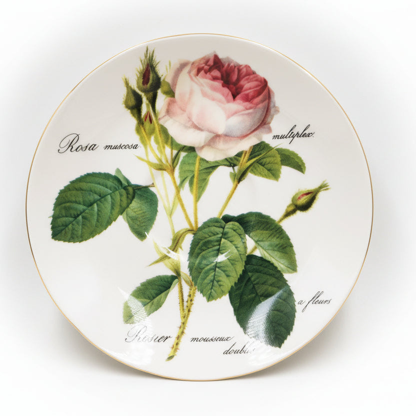 Roy Kirkham Bone China Redoute Rose Breakfast Cup