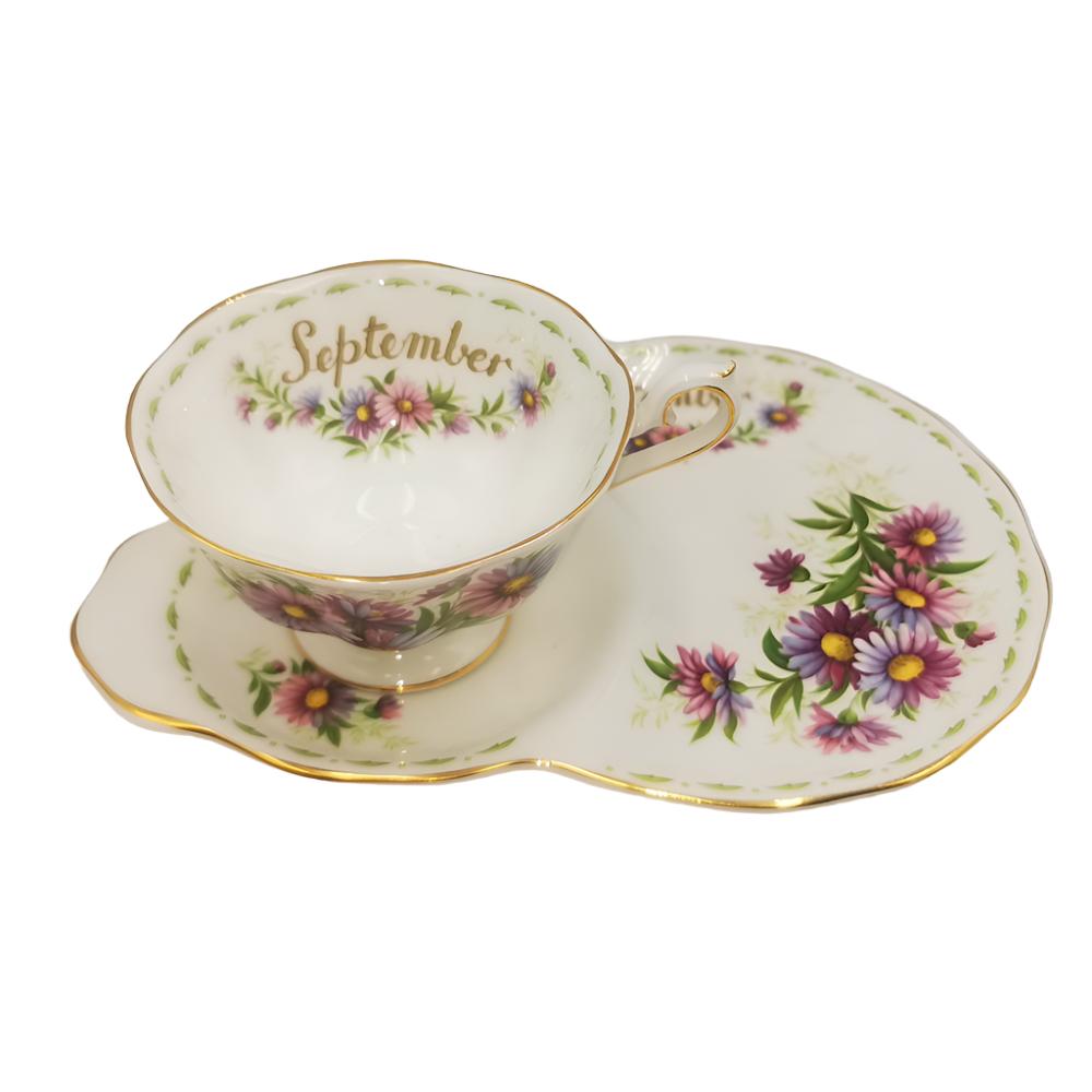 Royal Albert Flowers of the Month Series Floral China Tea Cup & Saucer Plate Michaelmas Daisy September