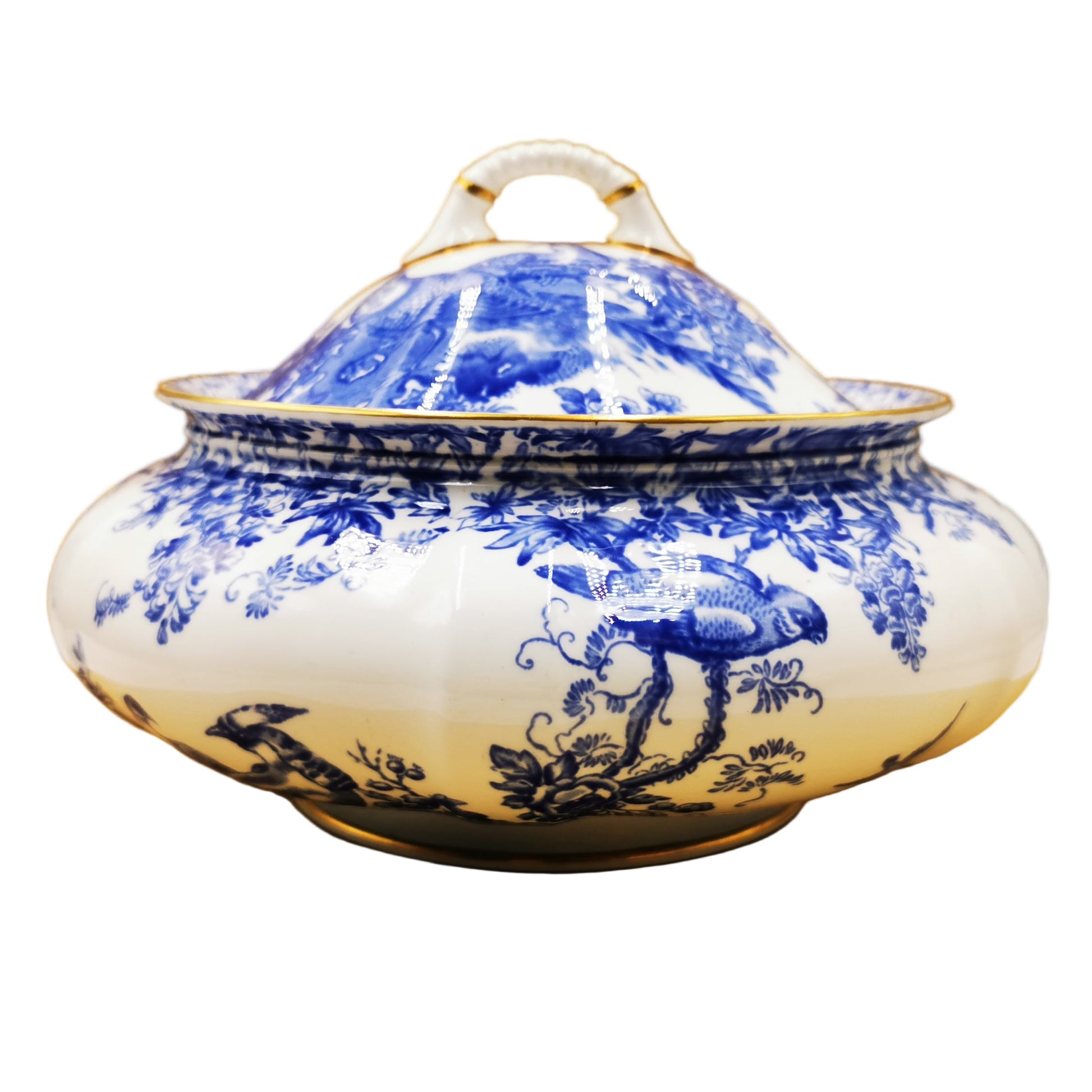 Royal Crown Derby China Blue Aves A1309 Lidded Tureen 1954