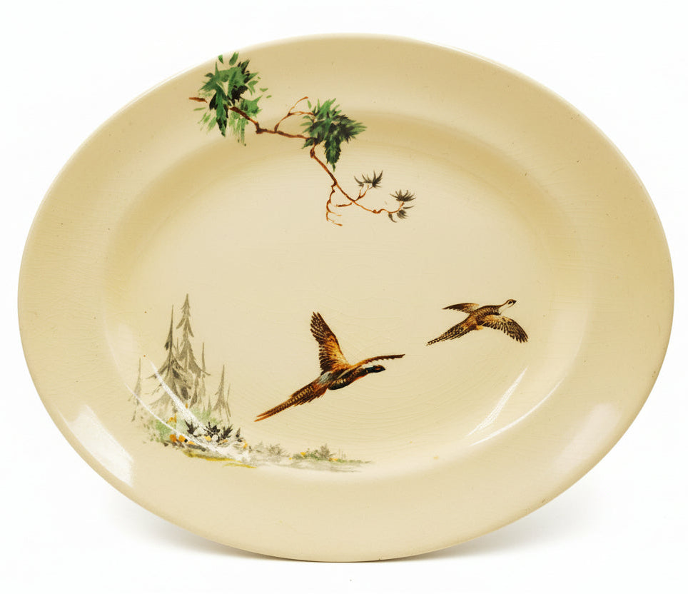 Royal Doulton China The Coppice D5803 11-inch Oval Platter