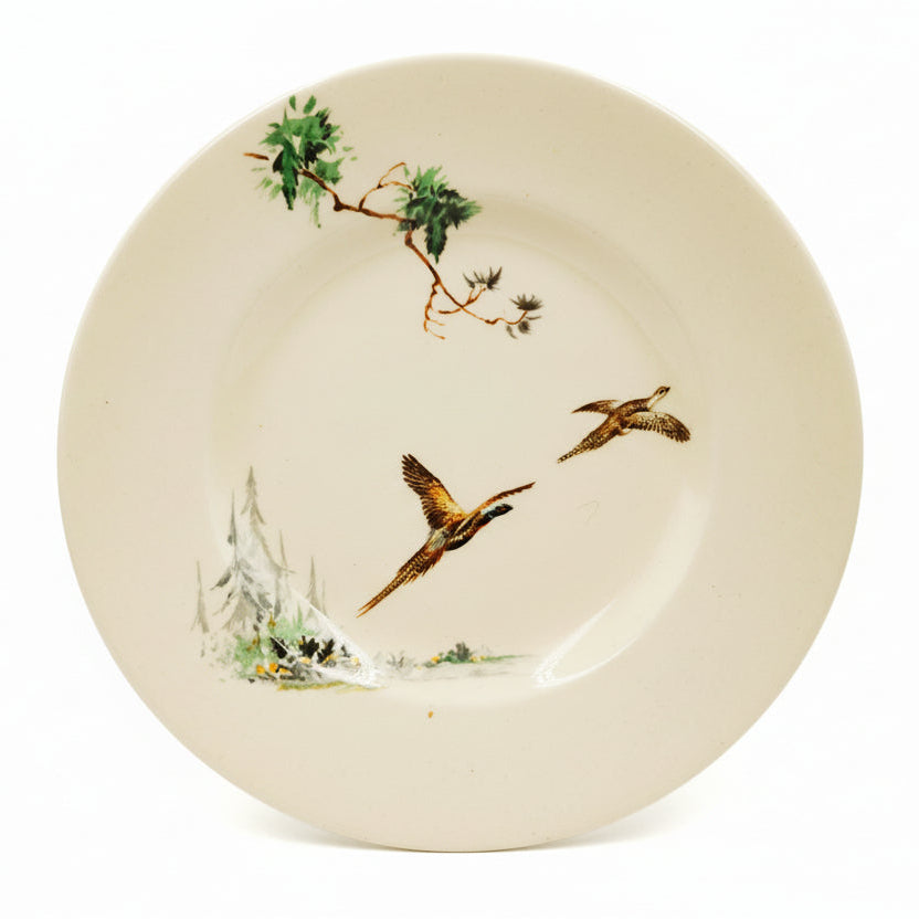 Royal Doulton China The Coppice D5803 6.5-inch side plate