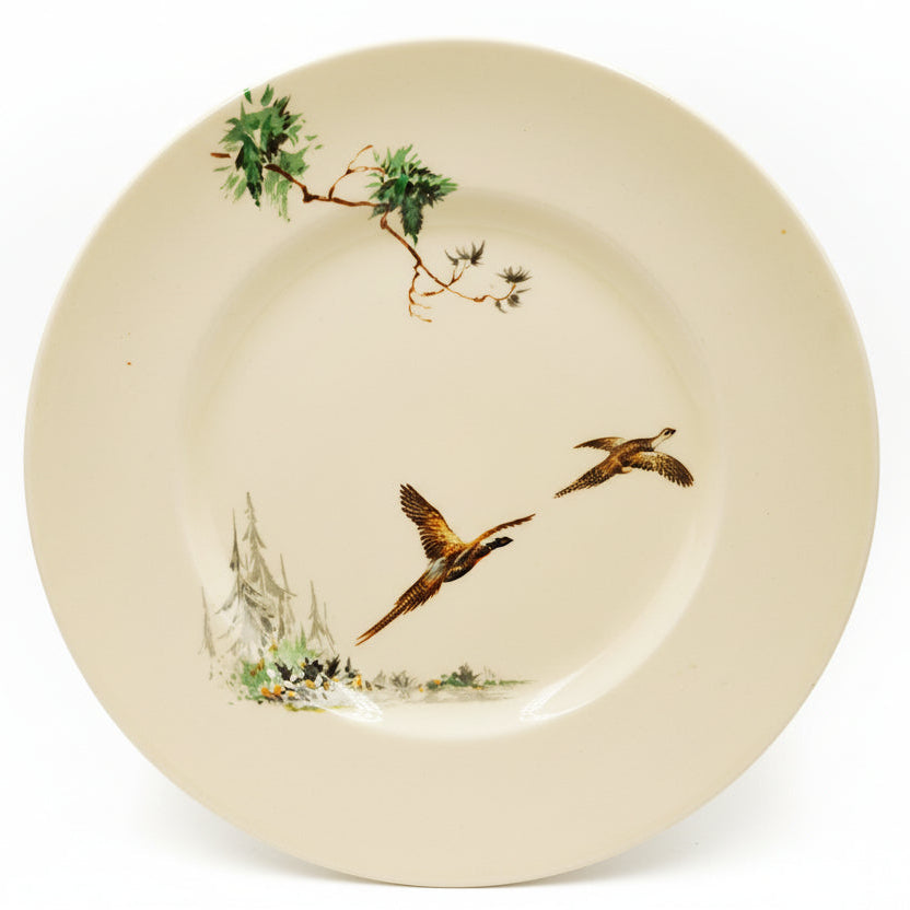 Royal-Doulton-China-The-Coppice-D5803-Dinner-Plates
