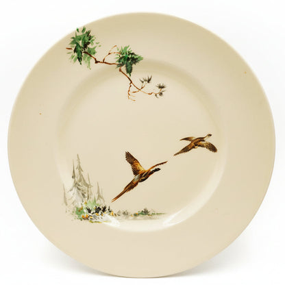Royal-Doulton-China-The-Coppice-D5803-Dinner-Plates